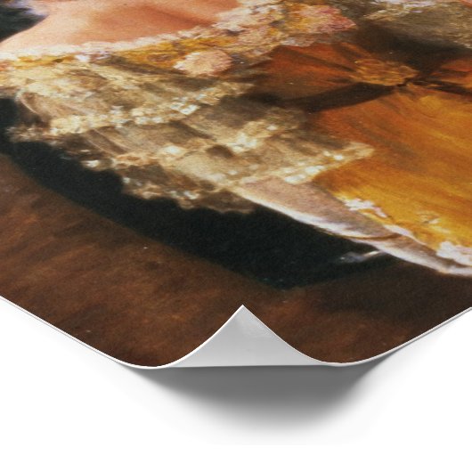 Der Wiener Ball Poster (Ecke)