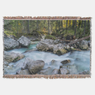 Der Wildbach Ramsauer Ache Decke