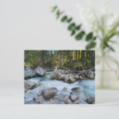 Der Wildbach Ramsauer Ache Postkarte (Stehend Vorderseite)