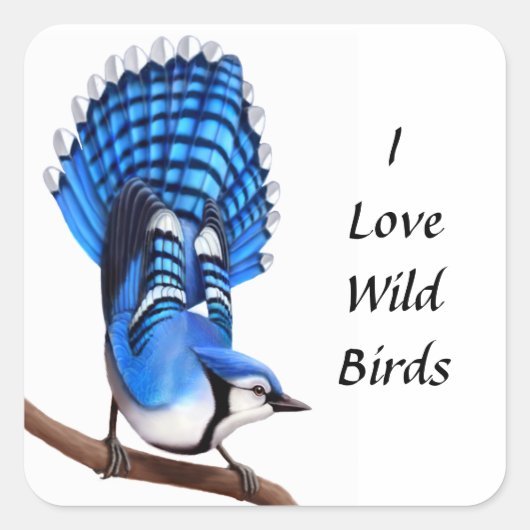 Der WildBlue-Jay-Vogelsticker Quadratischer Aufkleber (Vorderseite)