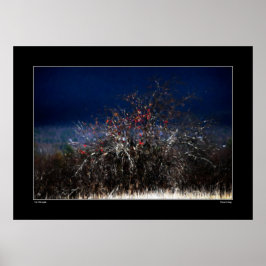 Der wilde Apple Poster