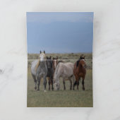 Der Wilde Graue Hengst schützt seine Mares-Karte Dankeskarte (Innenseite)