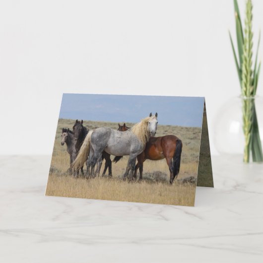 Der Wilde Graue Hengst schützt seine Mares-Karte Dankeskarte (Vorderseite)