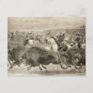 Der "Wilde Westen" im Großamerikanischen Postkarte