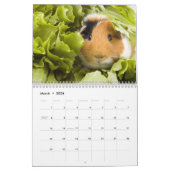 Der WildRescue 2013 Kalender! Kalender (Mär 2026)