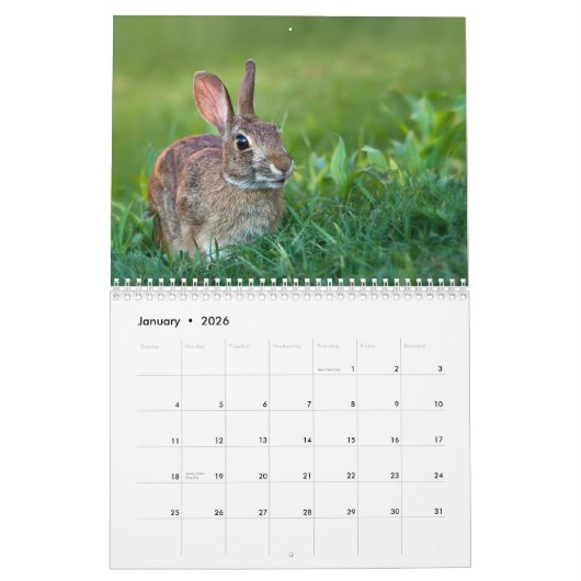 Der WildRescue 2013 Kalender! Kalender (Jan 2026)