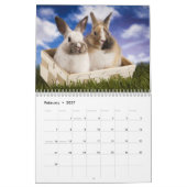 Der WildRescue 2013 Kalender! Kalender (Feb 2027)
