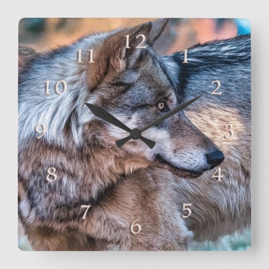 DER WIND CRIED WOLF QUADRATISCHE WANDUHR (Vorderseite)