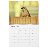 Der Wind Kalender (Feb 2027)
