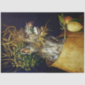 Der Winter, Arcimboldo Seidenpapier (Vorderseite)