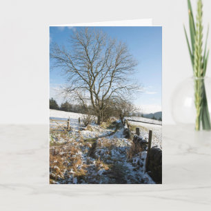 Der Winter im Macclesfield-Wald Karte