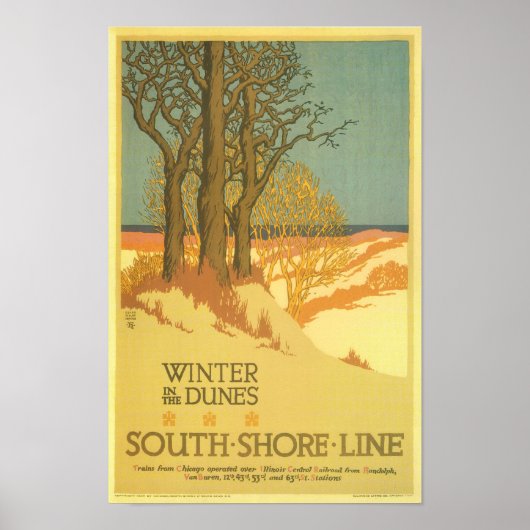 Der Winter in den Dünen Poster (Vorne)