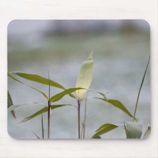 Der Winter kommt Mousepad (Vorne)