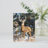 "Der Winterprinz" Postkarte (Stehend Vorderseite)