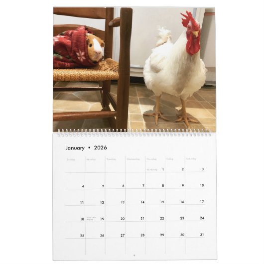 Der wirkliche Boo der Roo 2019 Kalender (Jan 2026)