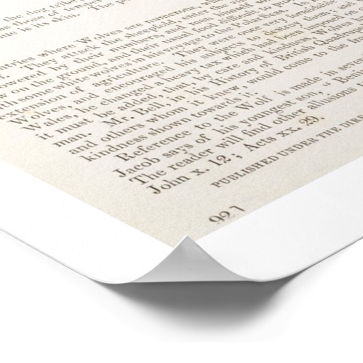 Der Wolf (Canis lupus) pu Poster (Ecke)