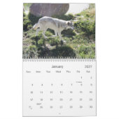 Der Wolf-Kalender 2012 Kalender (Jan 2027)