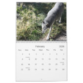 Der Wolf-Kalender 2012 Kalender (Feb 2026)
