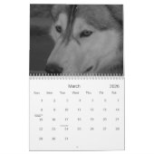 Der Wolf-Kalender 2012 Kalender (Mär 2026)