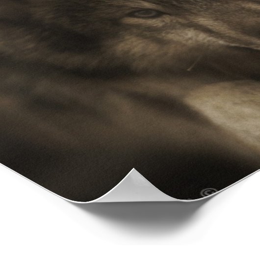 Der WolfGirlFriend Poster (Ecke)