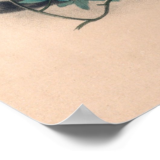 Der Wolkenkratzer von Joseph Wolf Poster (Ecke)