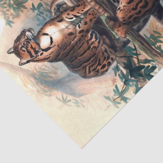 Der Wolkenkratzer von Joseph Wolf Seidenpapier (Ausschnitt)