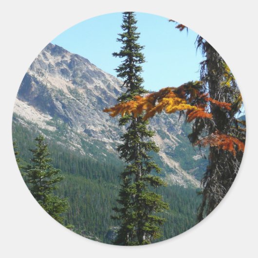 Der Wunder der Natur Runder Aufkleber (Vorderseite)