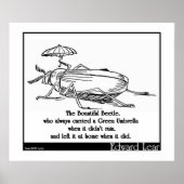 Der wunderschöne Käfer Poster (Vorne)