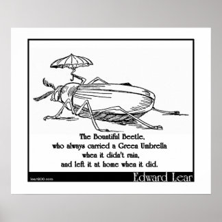 Der wunderschöne Käfer Poster