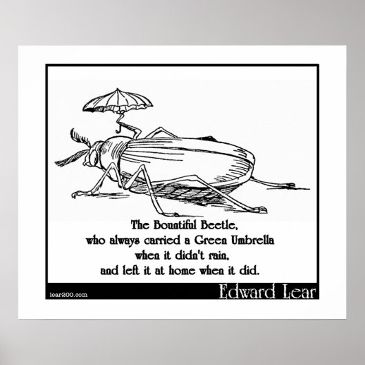 Der wunderschöne Käfer Poster (Vorne)