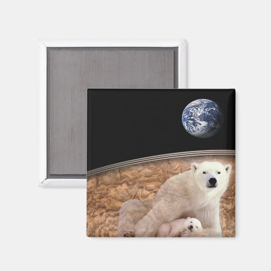 DER WUNDERSCHÖNE POLAR MAGNET (Vorderseite/Rückseite)