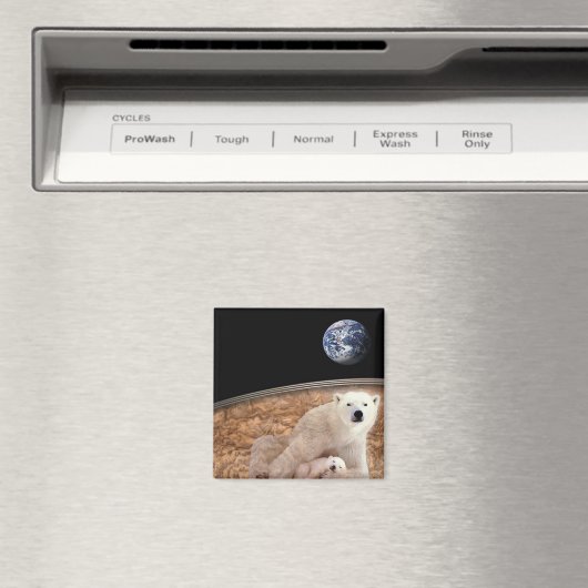 DER WUNDERSCHÖNE POLAR MAGNET (In Situ (Geschirrspüler))