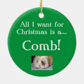 Der Wunsch des Meerschweinchens Keramikornament (Hinten)