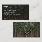 Der Zauberbaum, Domholz, Intervale, N.H. Visitenkarte (Vorne/Hinten)