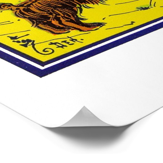 Der Zauberer von Oz: Du solltest dich schämen! Poster (Ecke)