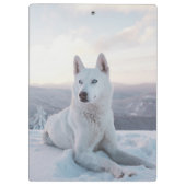 Der zauberhafte Weiße Husky-Hund im Schnee Klemmbrett (Rückseite)