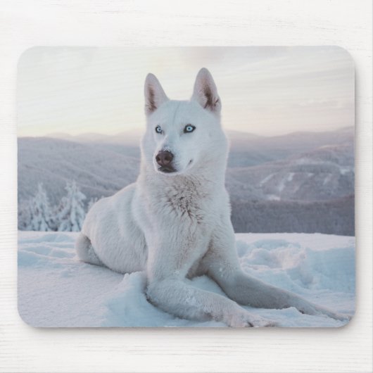 Der zauberhafte Weiße Husky-Hund im Schnee Mousepad (Vorne)