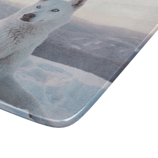 Der zauberhafte Weiße Husky-Hund im Schnee Schneidebrett (Ecke)