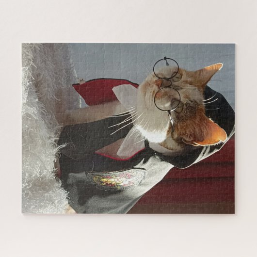 Der Zauberkatzenpuzzle Puzzle (Horizontal)