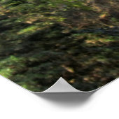 Der Zauberwald Poster (Ecke)