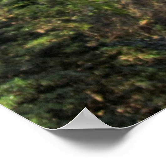 Der Zauberwald Poster (Ecke)