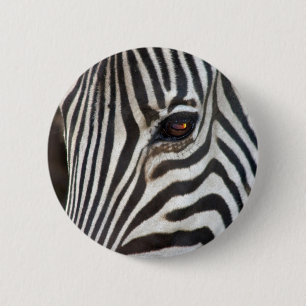 Der Zebra des ambulanten Händlers Button