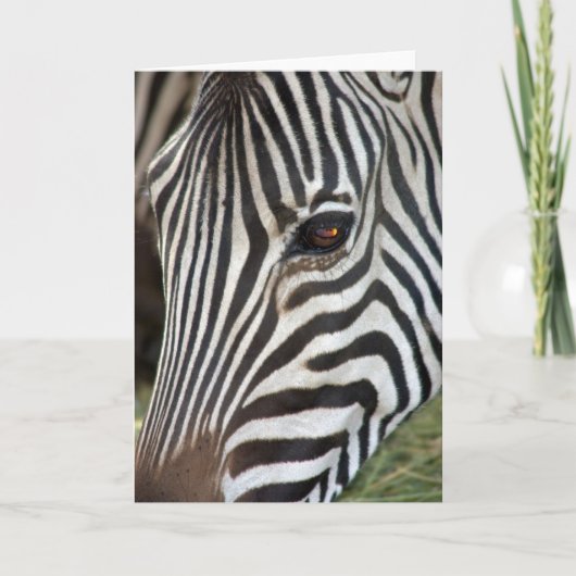 Der Zebra-Karte des ambulanten Händlers Karte (Vorderseite)