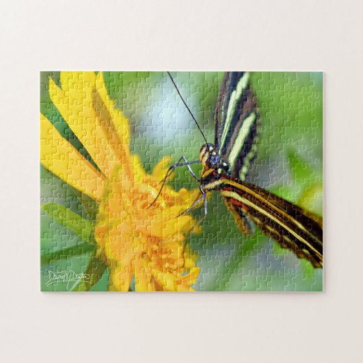 Der Zebrafalter Puzzle (Horizontal)