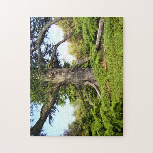 Der Zeder-von-Libanon Baum-Foto-Puzzlespiel mit Puzzle (Vertikal)