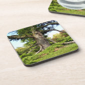 Der Zeder-von-Libanon Baum-harter Getränkeuntersetzer (Linke Seite)