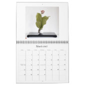 Der Zen-Bilder 2009 Kalender (Mär 2027)