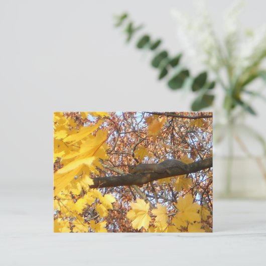 Der Zen-Moment des Eichhörnchens Postkarte (Stehend Vorderseite)
