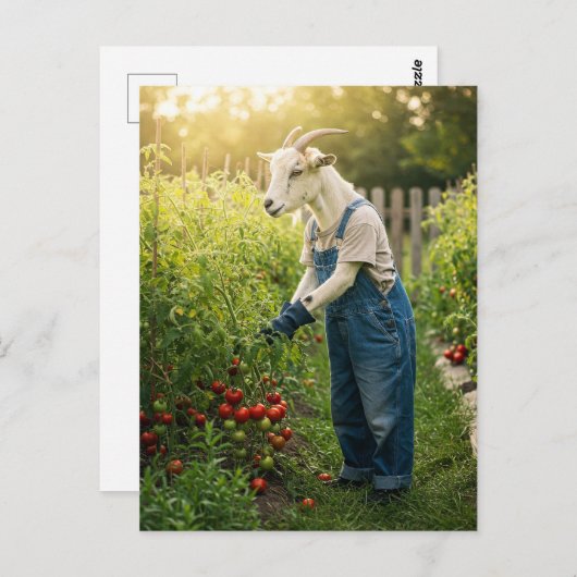 Der Ziegengärtner Postkarte (Vorne/Hinten)