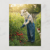 Der Ziegengärtner Postkarte (Vorderseite)